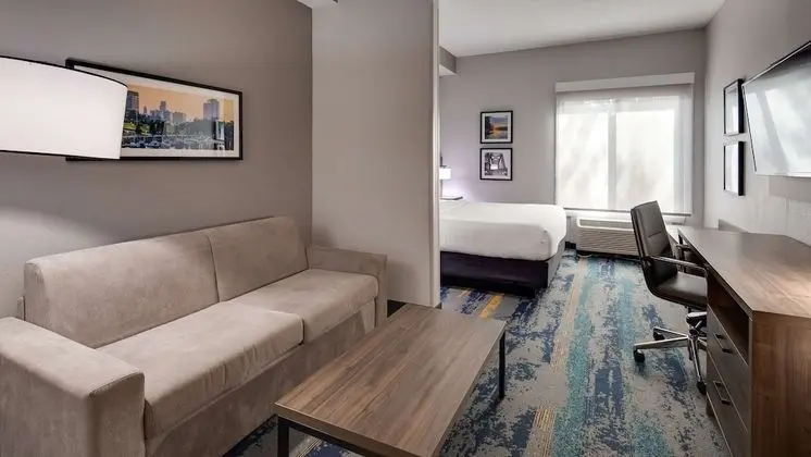 Standard Stüdyo, 1 En Büyük (King) Boy Yatak, Sigara İçilmez (Living Room;with Sofabed)