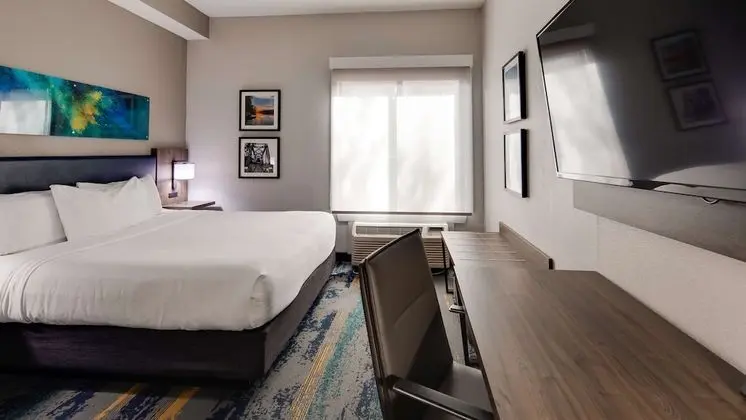 Standard Stüdyo, 1 En Büyük (King) Boy Yatak, Sigara İçilmez (Living Room;with Sofabed)