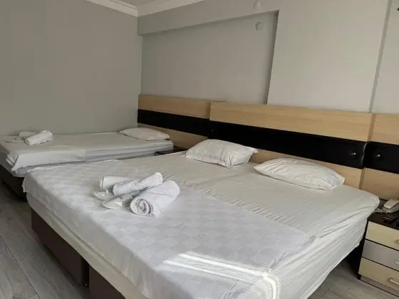 Ekonomik Üç Kişilik Oda, Kara Manzaralı, Klimalı