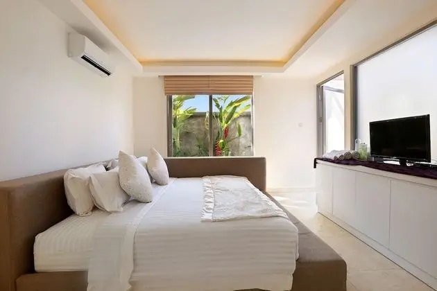 Apartment with Private Plunge Pool