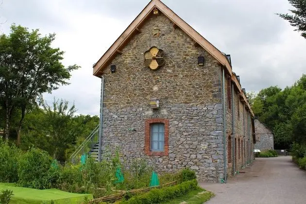 Family Dört Kişilik Oda