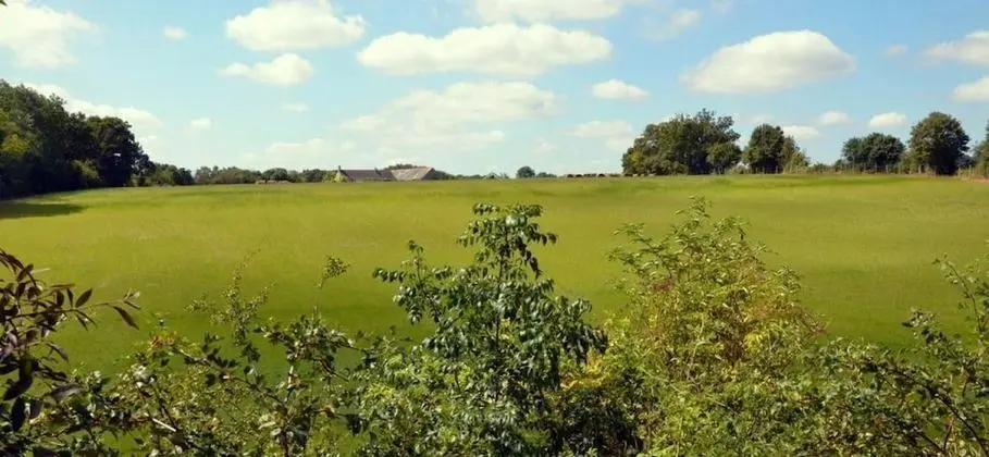 Kulübe (Forestière Chêne)