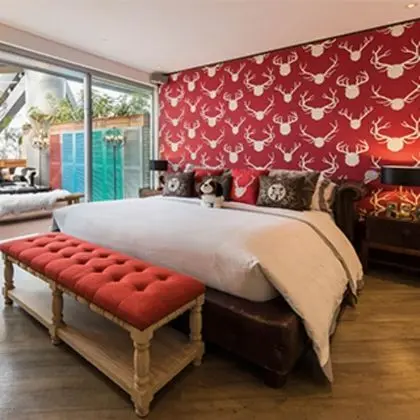 Deluxe Dağ Evi