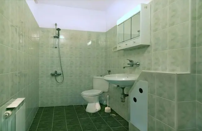 Apartment, 1 Bedroom with Extra bed