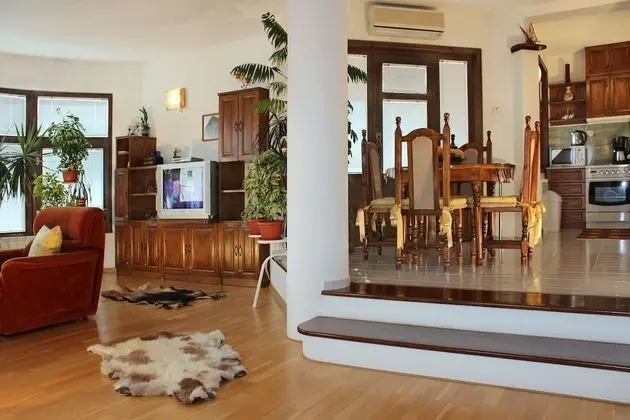 Executive Apart Daire, 2 Yatak Odası, Teras