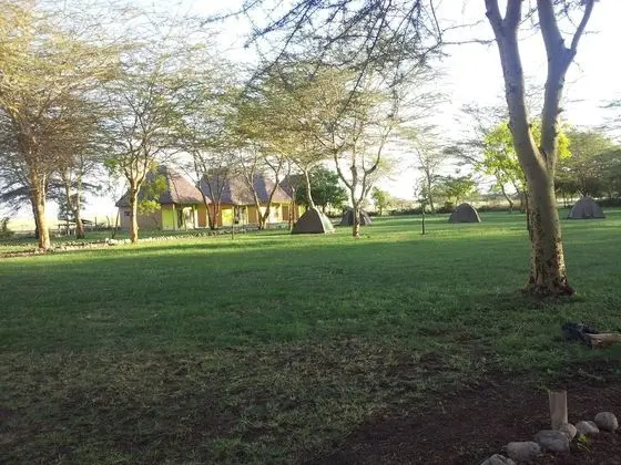 Basic Bungalov