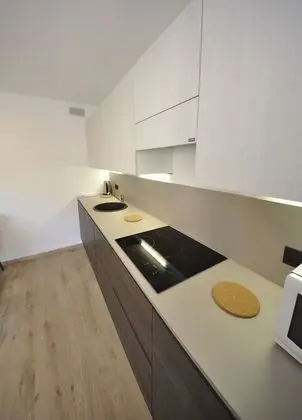 Deluxe Apart Daire, 1 Yatak Odası, Sigara İçilmez, Dağ Manzaralı