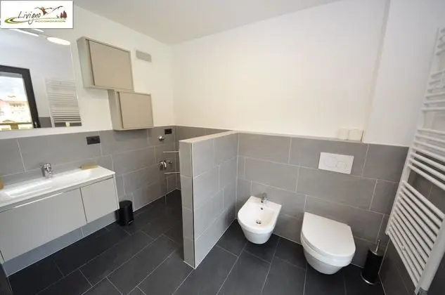 Deluxe Apart Daire, 1 Yatak Odası, Sigara İçilmez, Dağ Manzaralı