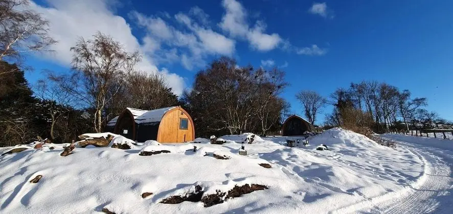 Luxury Kulübe, Banyolu/Duşlu, Deniz Manzaralı (Bass Rock Pod)