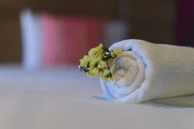Banyo imkân ve özellikleri