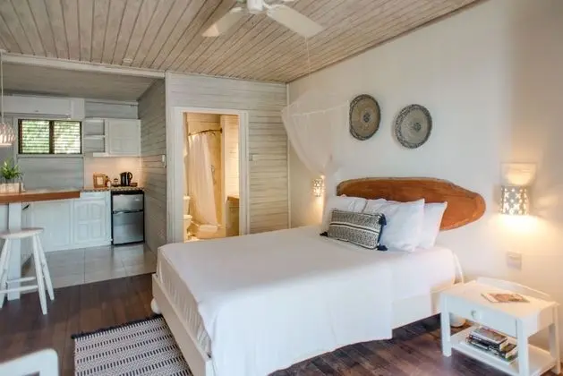 Studio, 1 Queen Bed (Main House)