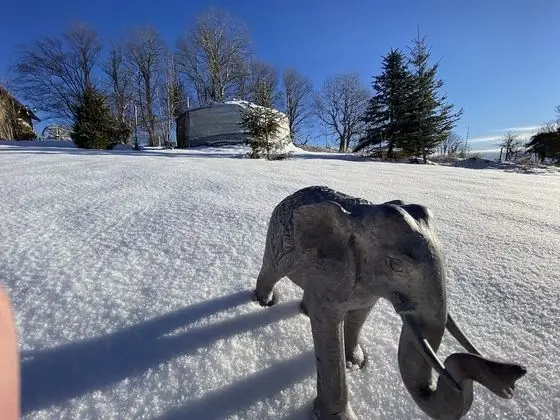 Çadır, Özel Banyo, Dağ Manzaralı (4 places)