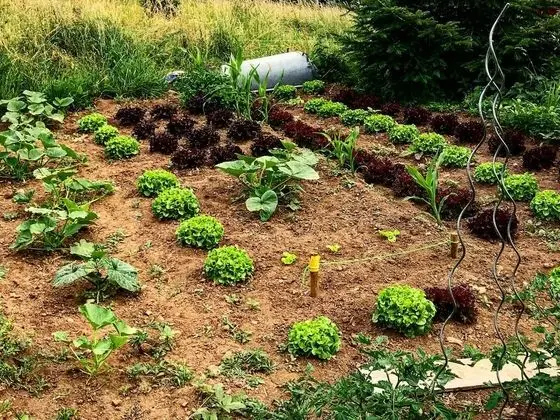 Superior Çadır, Özel Banyo, Dağ Manzaralı