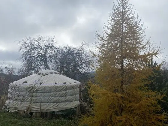 Superior Çadır, Özel Banyo, Dağ Manzaralı