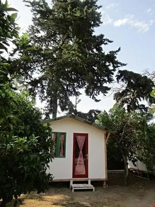 Bungalov