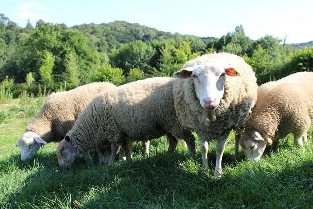 Traditional Kır Evi, Engellilere Uygun, Banyolu/Duşlu (Ecolabel Européen)