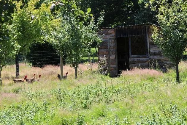 Traditional Kır Evi, Engellilere Uygun, Banyolu/Duşlu (Ecolabel Européen)