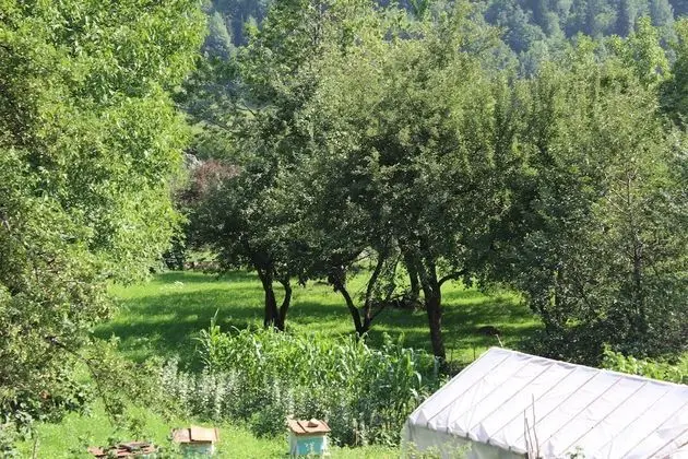 Economy Dört Kişilik Oda, Birden Çok Yatak, Sigara İçilmez, Dağ Manzaralı