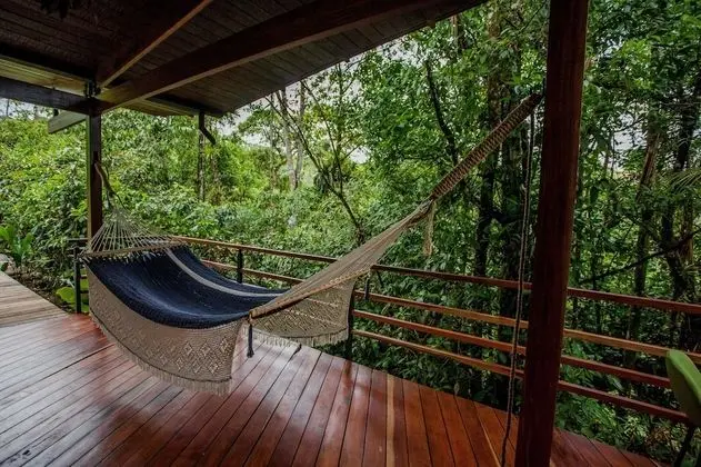 Jungle Premium Suite