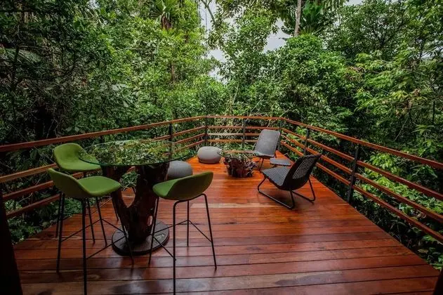 Jungle Premium Suite