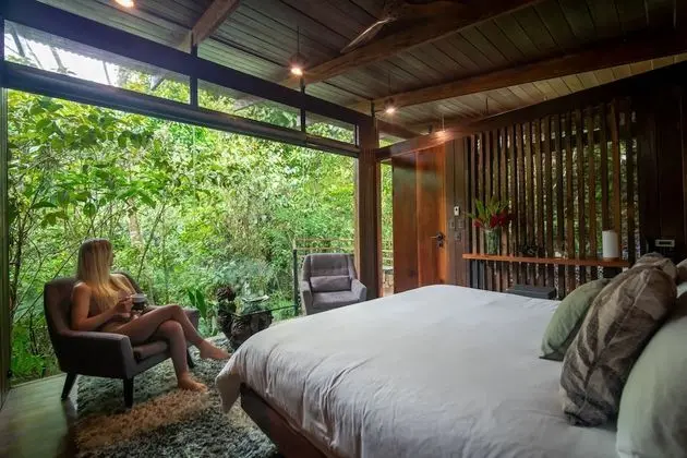 Jungle Suite