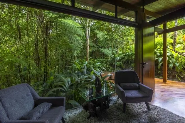 Jungle Suite