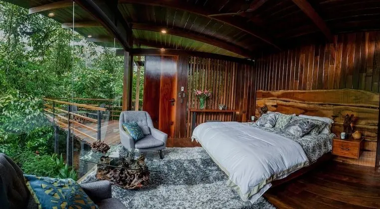 Jungle Suite