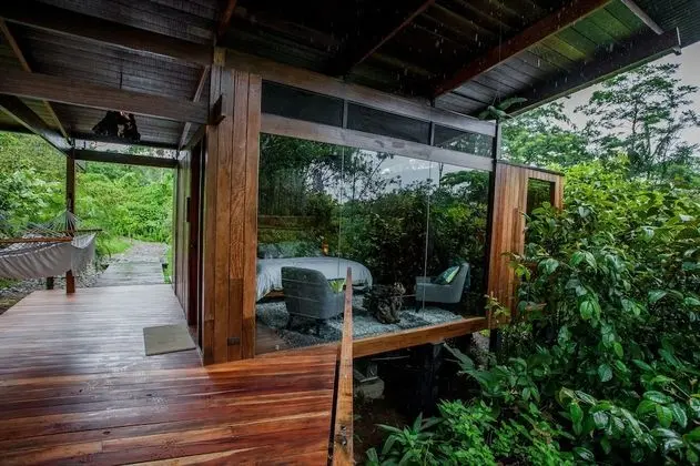 Jungle Suite