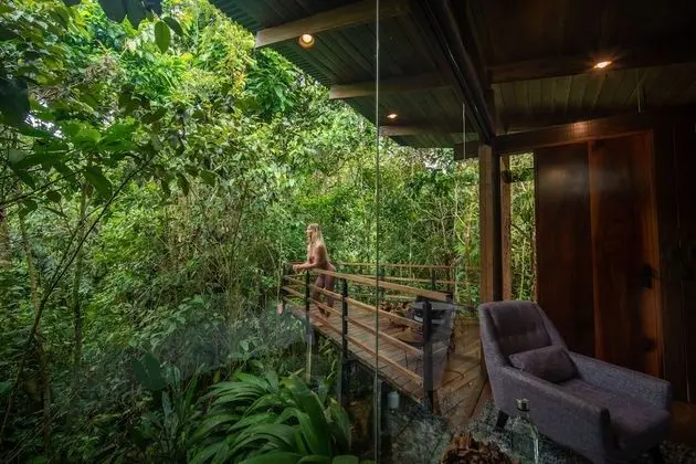 Jungle Suite