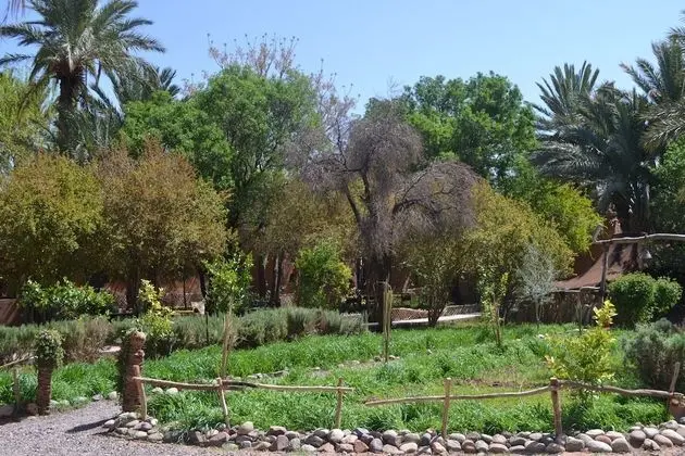 Traditional Ev, Birden Çok Yatak, Bahçe Manzaralı, Bahçeli