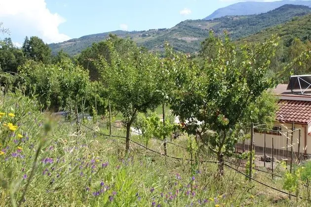 Apart Daire, 1 Yatak Odası, Teras