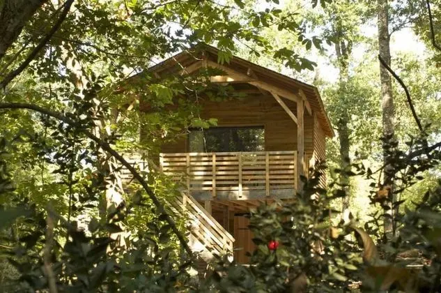 Ecolodge (La Viticole)