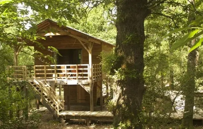 Ecolodge (L'Ornitho)
