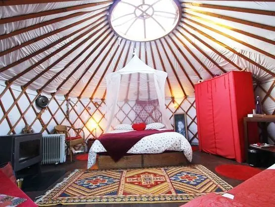 Deluxe Oda, Birden Çok Yatak (Yourte)