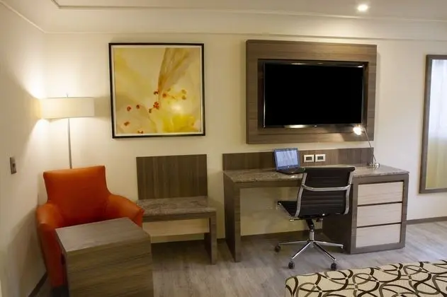 Deluxe Tek Büyük Yataklı Oda, 1 En Büyük (King) Boy Yatak, Sigara İçilmez