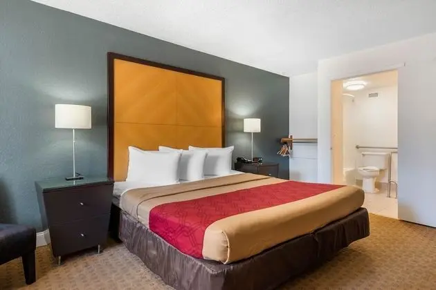 1 King Bed, No Smoking
