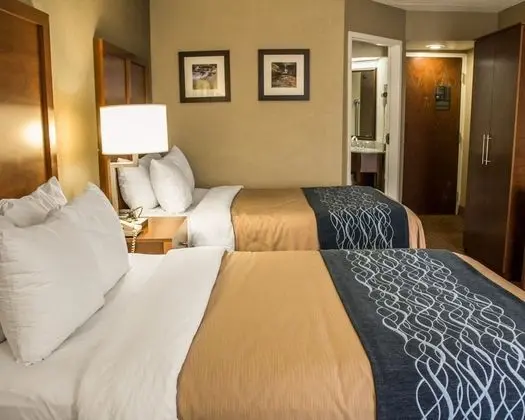 Standard Tek Büyük Yataklı Oda, 2 Çift Kişilik Yatak, Sigara İçilebilir