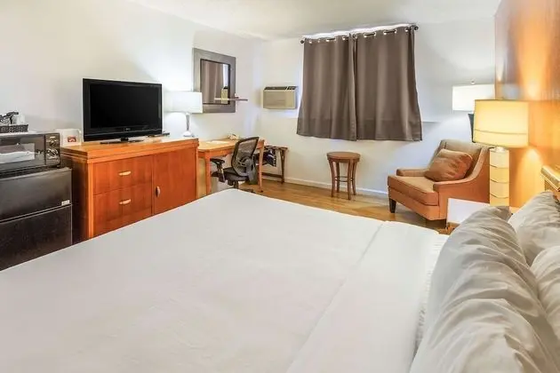 Economy Oda, 1 En Büyük (King) Boy Yatak, Sigara İçilmez