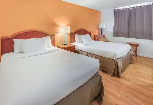 Standard Tek Büyük Yataklı Oda, 2 Çift Kişilik Yatak, Sigara İçilmez