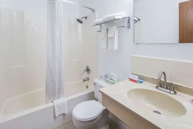 Standard Tek Büyük Yataklı Oda, 2 Çift Kişilik Yatak, Sigara İçilmez