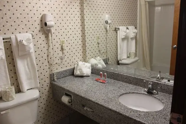 Standard Oda, 1 En Büyük (King) Boy Yatak, Sigara İçilmez