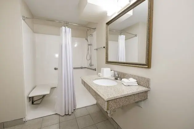 Deluxe Oda, 1 En Büyük (King) Boy Yatak, Engellilere Uygun, Sigara İçilmez (Roll-In Shower)