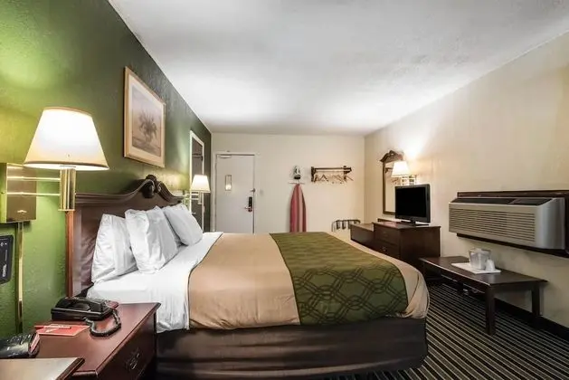 Standard Oda, 1 En Büyük (King) Boy Yatak, Sigara İçilmez