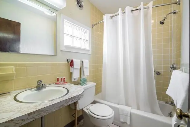 Standard Tek Büyük Yataklı Oda, 2 Çift Kişilik Yatak, Sigara İçilmez