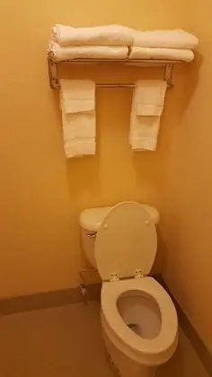 Standard Oda, 1 En Büyük (King) Boy Yatak, Sigara İçilmez
