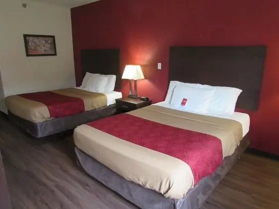 Double Queen bedded Non-Smoking room