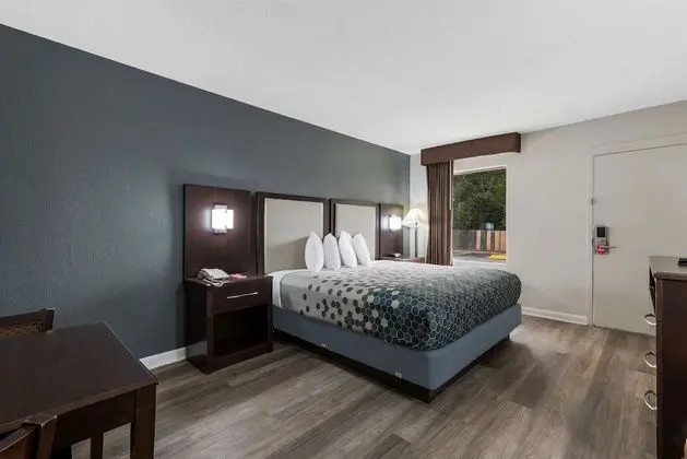 Oda, 1 En Büyük (King) Boy Yatak, Engellilere Uygun, Sigara İçilmez