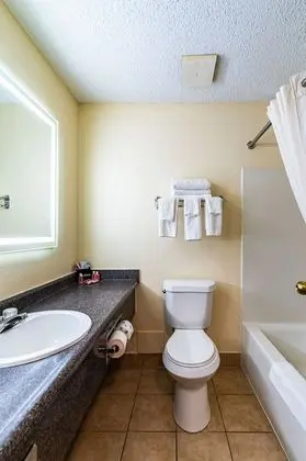 Oda, 2 Büyük (Queen) Boy Yatak, Sigara İçilmez (Pet Friendly)