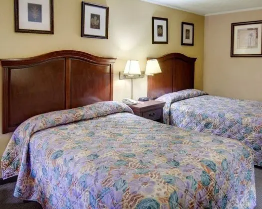 Standard Tek Büyük Yataklı Oda, 2 Çift Kişilik Yatak, Sigara İçilmez