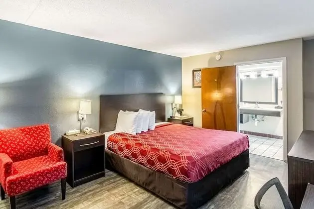 Oda, 1 En Büyük (King) Boy Yatak, Engellilere Uygun, Sigara İçilebilir